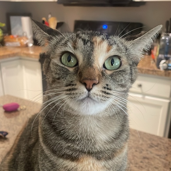 Meet your Posher, Andrea - Picture 1 of 1